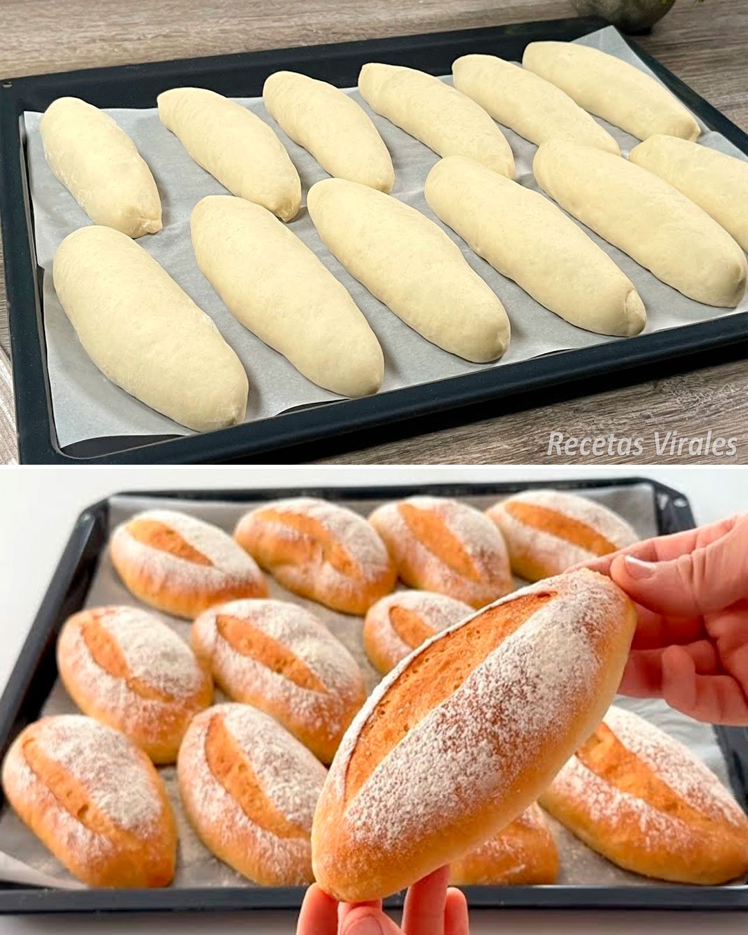 458299392_122118136826392383_5087790517259149702_n