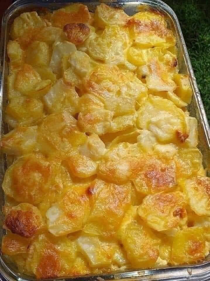 Cheesy Potato Gratin 463075758_122189630066196506_8388303201110708675_n