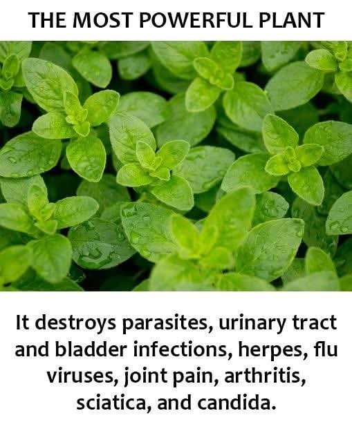 FB_IMG_1762770221176