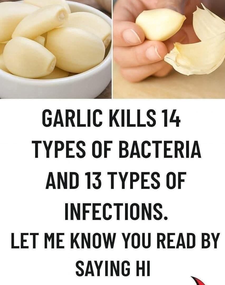 44AA9047-A64F-402B-AE69-59872B8B7F07