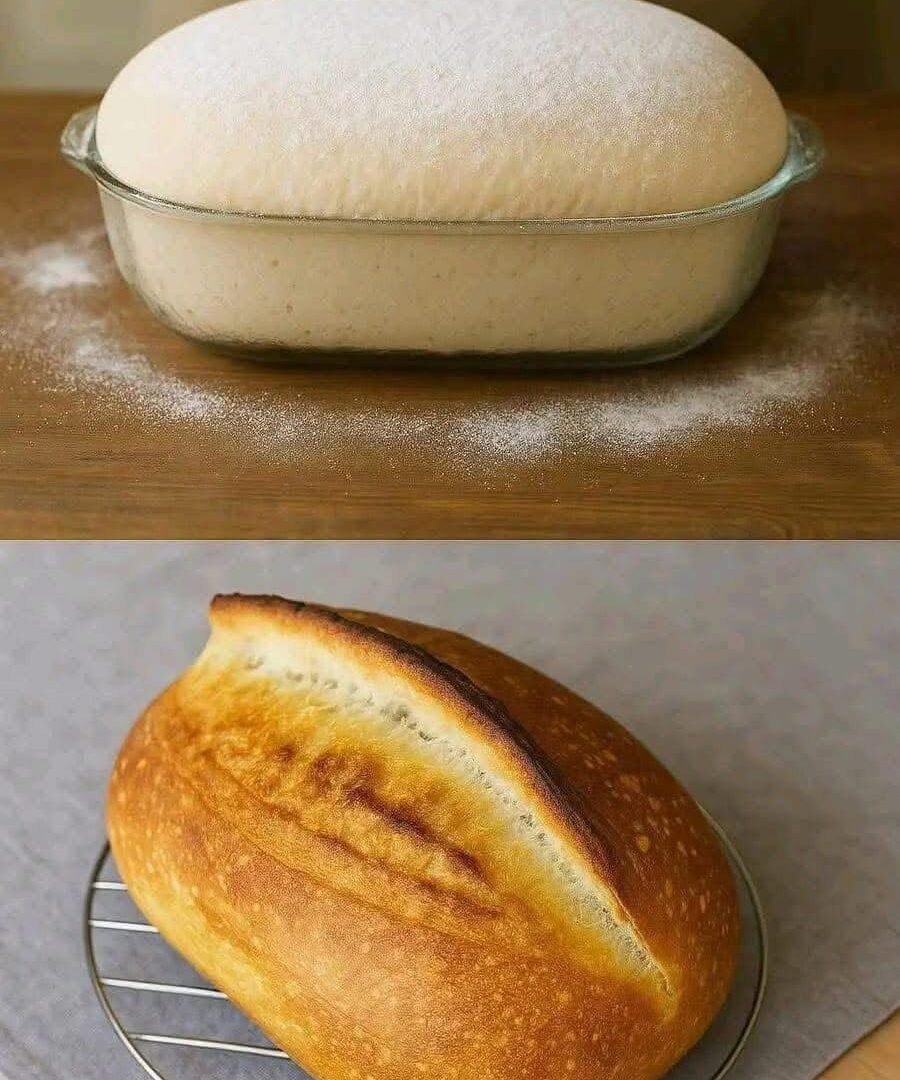 The Cheapest Bread Recipe IMG_2498