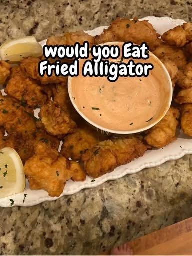 🐊🔥 Fried Alligator IMG_3423
